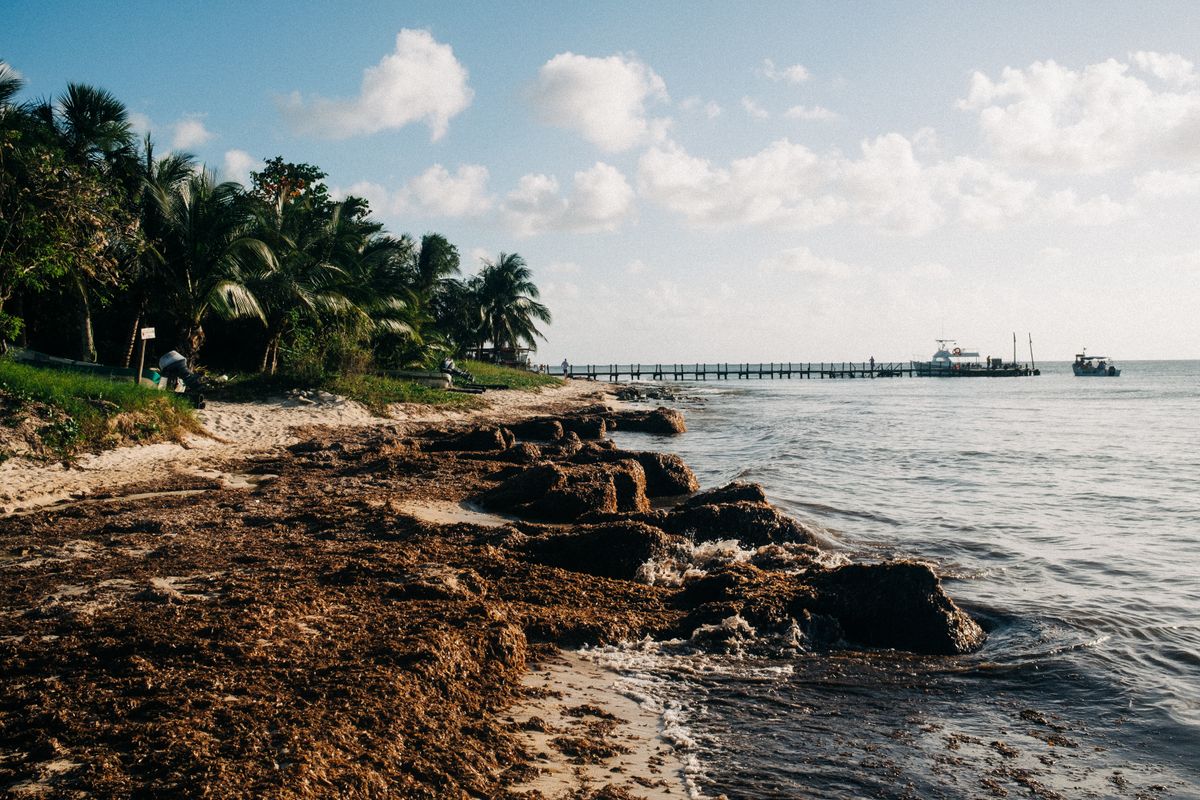Beach and pier on Cozumel island, Mexico